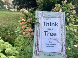Think like a Tree book